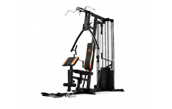 Силовой комплекс DFC HomeGym D5125 600_380