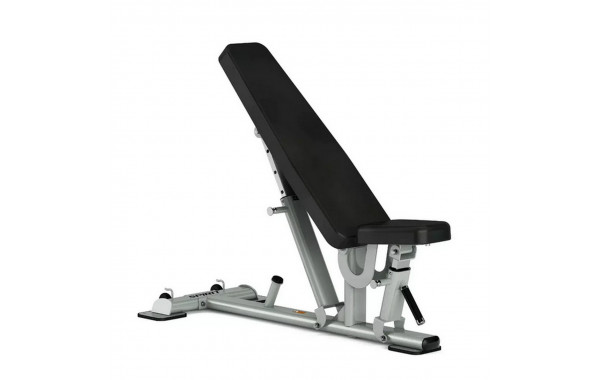 Мультипозиционная скамья Spirit Fitness ST800FID 600_380