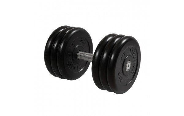 Гантель Профи, 31 кг MB Barbell MB-FdbM-B31 600_380