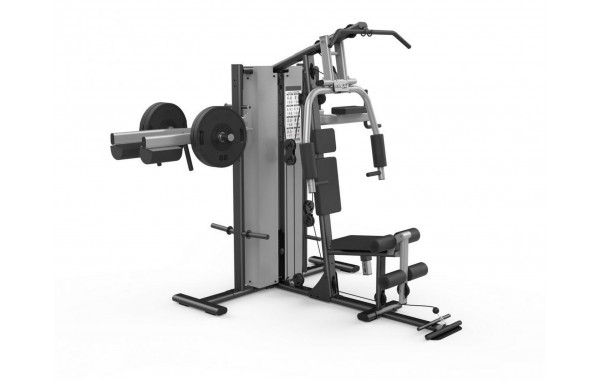 3-х позиционная станция Fitex Pro MEXICO FTX-5203 600_380