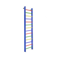 Стенка гимнастическая 300х80 (массив.сосна), цветная Dinamika ZSO-000065