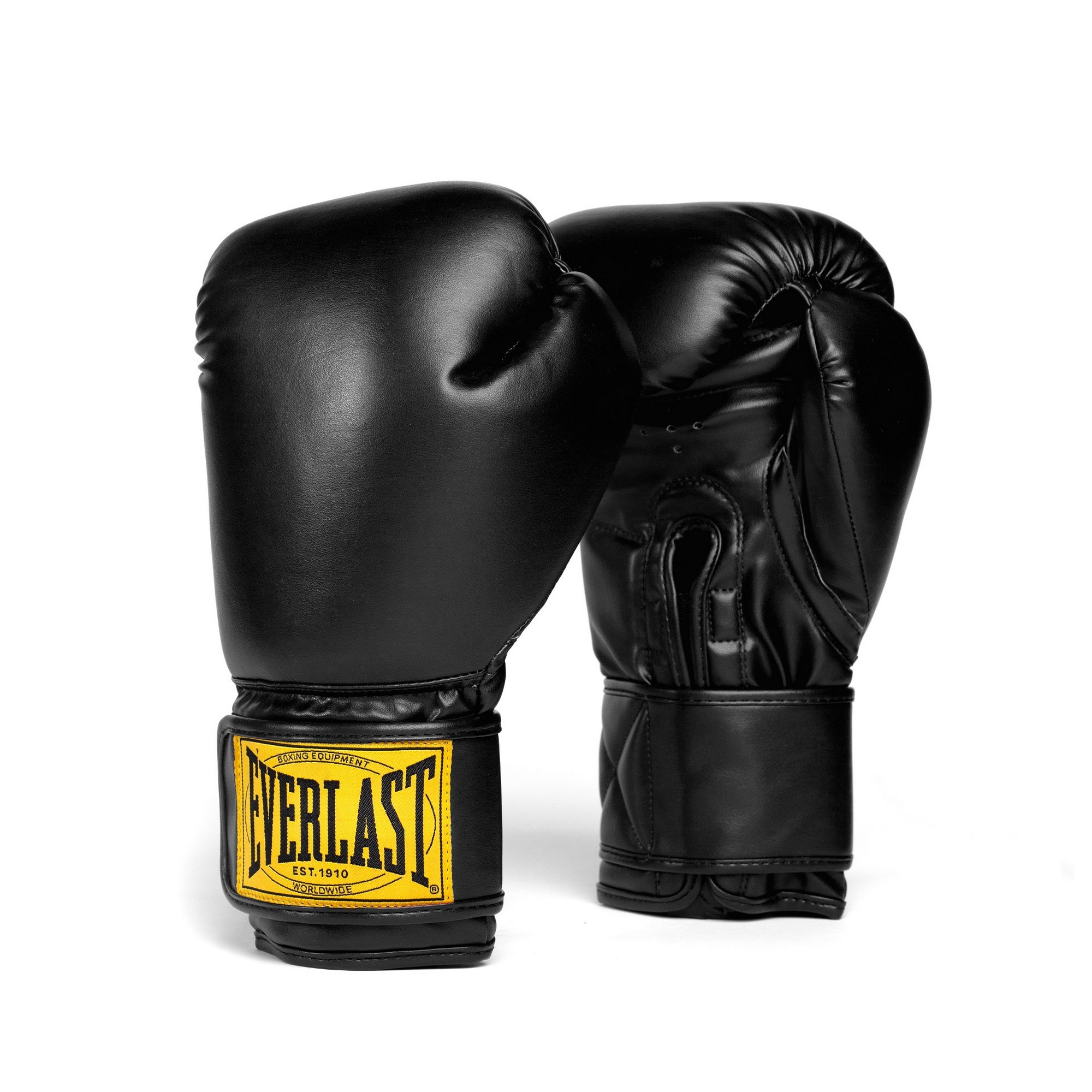 Перчатки тренировочные Everlast 1910 Classic PU 10oz P00003347 черный 2000_2000